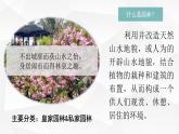 4.2 人作与天开——中国古典园林艺术 课件-2023-2024学年高一上学期美术人美版（2019）美术鉴赏