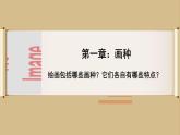 1.1 精微广大—— 绘画的功能与分类 课件-2024-2025学年高中美术人美版（2019）选择性必修1 绘画