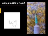 第2課+如何鑒賞美術(shù)作品+課件-2024-2025學(xué)年高中美術(shù)人教版（2019）美術(shù)鑒賞