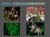 人美版高中美術(shù) 第二單元《抒情與寫意——文人畫》教學(xué)課件