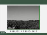 人美版高中美術(shù) 第三單元課件《體量與力量——雕塑的美感》