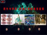 人美版高中美術(shù) 第五單元《質(zhì)樸與率真—濃郁鄉(xiāng)情的視覺呈現(xiàn)》 課件