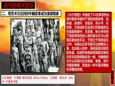 人美版高中美術(shù) 第六單元《初心與使命——時代的美術(shù)擔當》-課件
