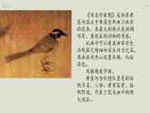 人教版高中美術(shù) 2-4教學(xué)課件《畫外之意——中國傳統(tǒng)花鳥畫》