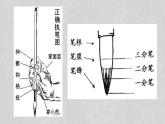 人教版高中美術(shù) 2-5教學(xué)課件《書為心畫——中國書法》