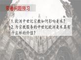 人教版高中美術(shù) 3-13《宗教的象征——?dú)W洲中世紀(jì)美術(shù)》 課件