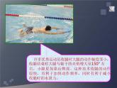 人教版高中体育12.1 游泳腿部动作教学 课件