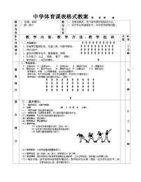 体育人教版 (2019)第三节 投掷教案