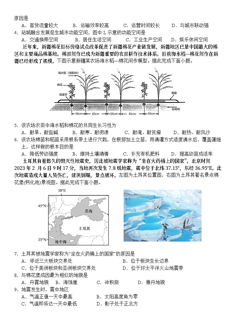 周考（五）第2页