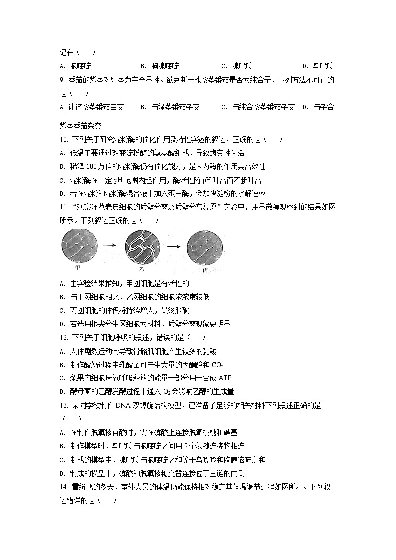 2022年6月新高中考试浙江生物高考真题（原卷版）02