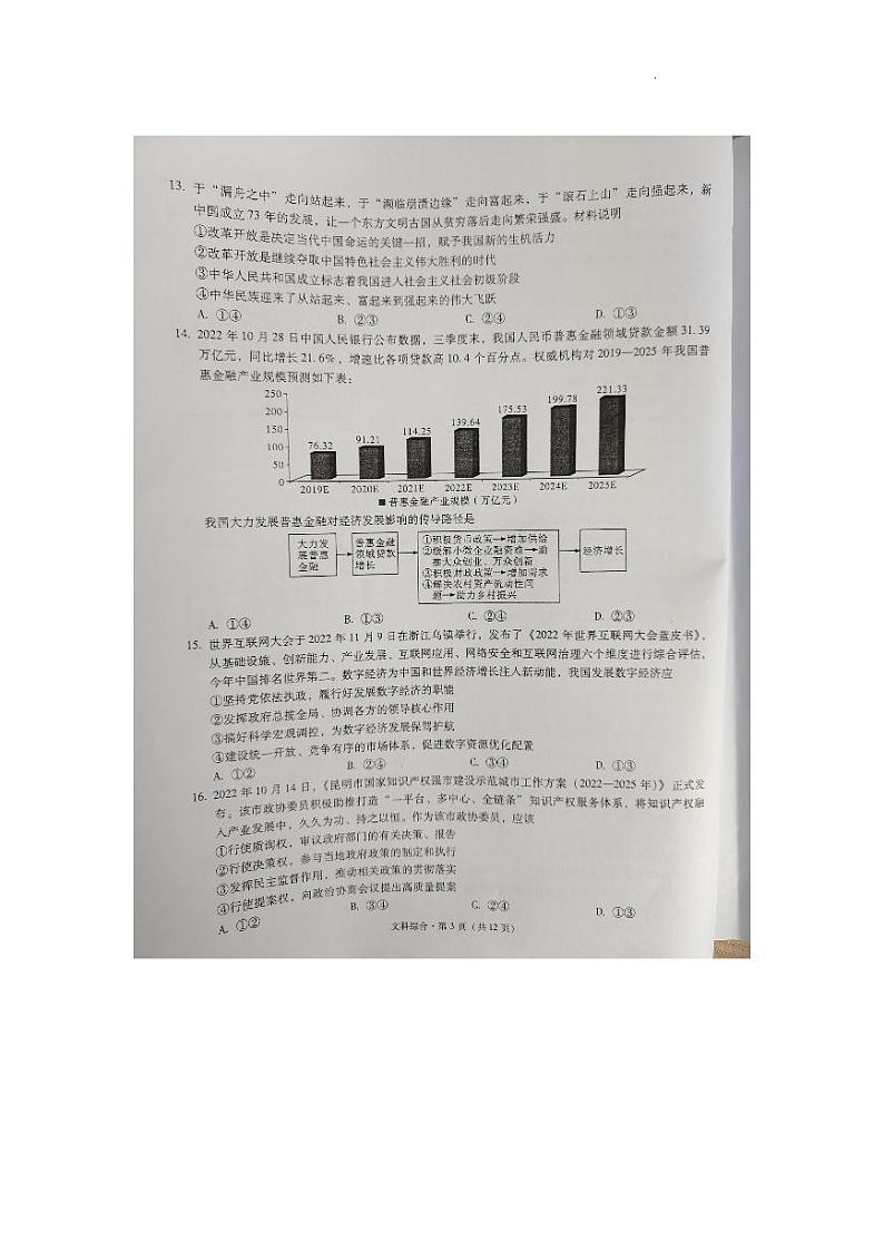 云南两市高三（模拟考）-文综试题附答案第3页