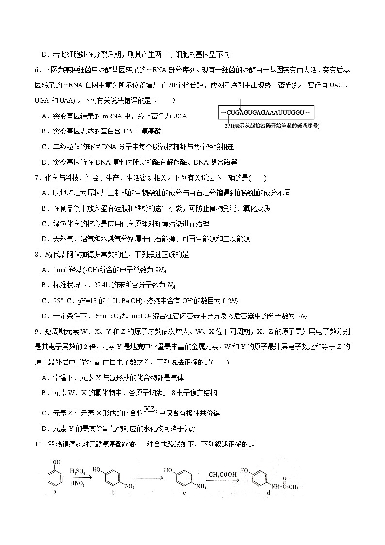2020-2021学年四川省仁寿第一中学校北校区高二下学期期末模拟考试（6月月考）理科综合试题 Word版02