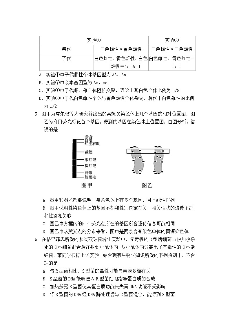 2020-2021学年四川省仁寿第一中学校南校区高二下学期第三次质量检测（6月月考）理综试题 word版02