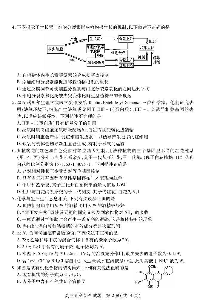山西省运城市2020届高三调研测试（第一次模拟）理科综合试题（PDF版）02