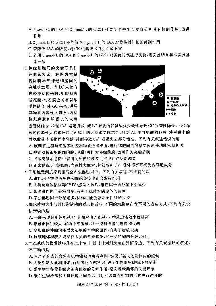 湘豫名校2020-2021学年高三联考（2021年1月）理科综合试卷第2页
