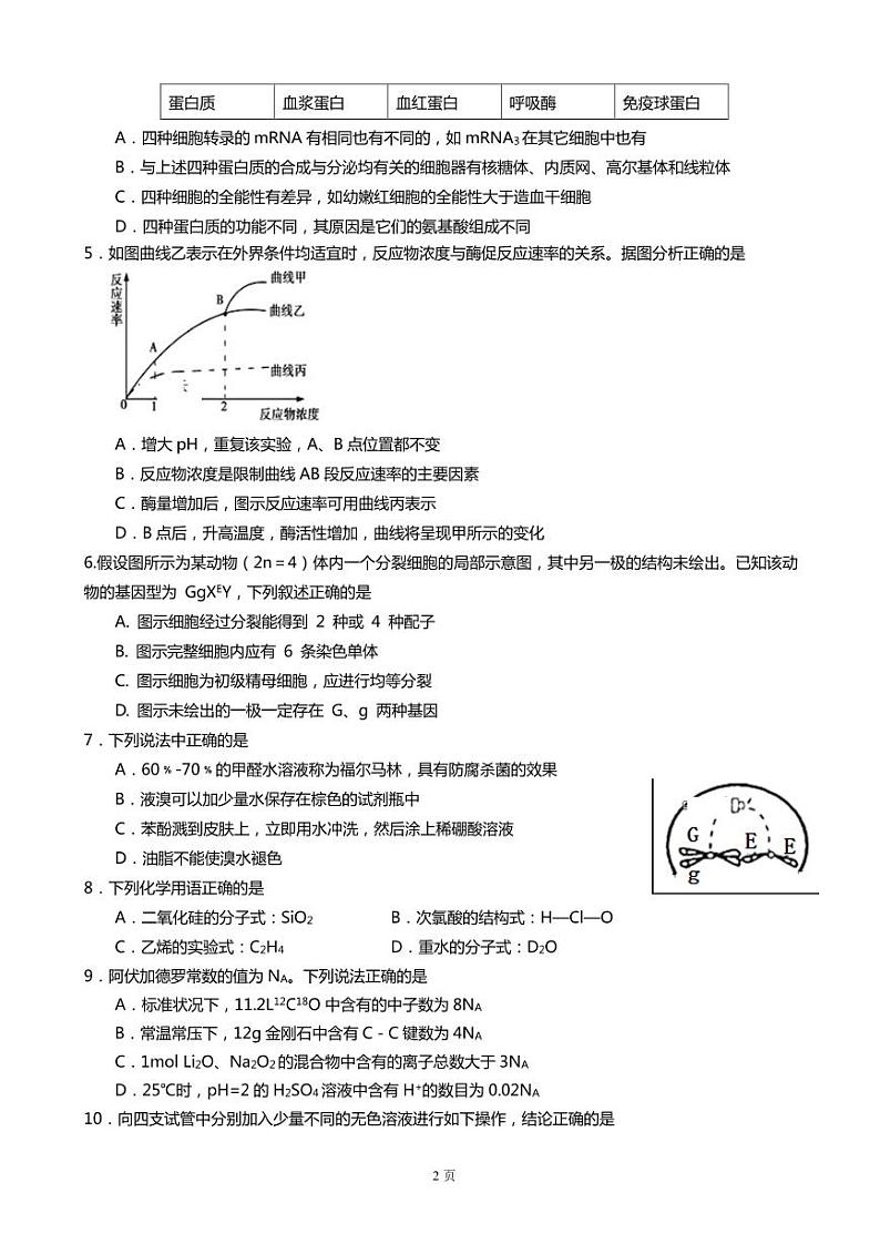 2020届西藏拉萨中学高三上学期第四次月考理综试卷（PDF版）第2页