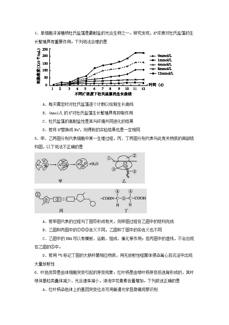 2022届西藏拉萨中学高三上学期第一次月考理综试题 （word版含答案）02