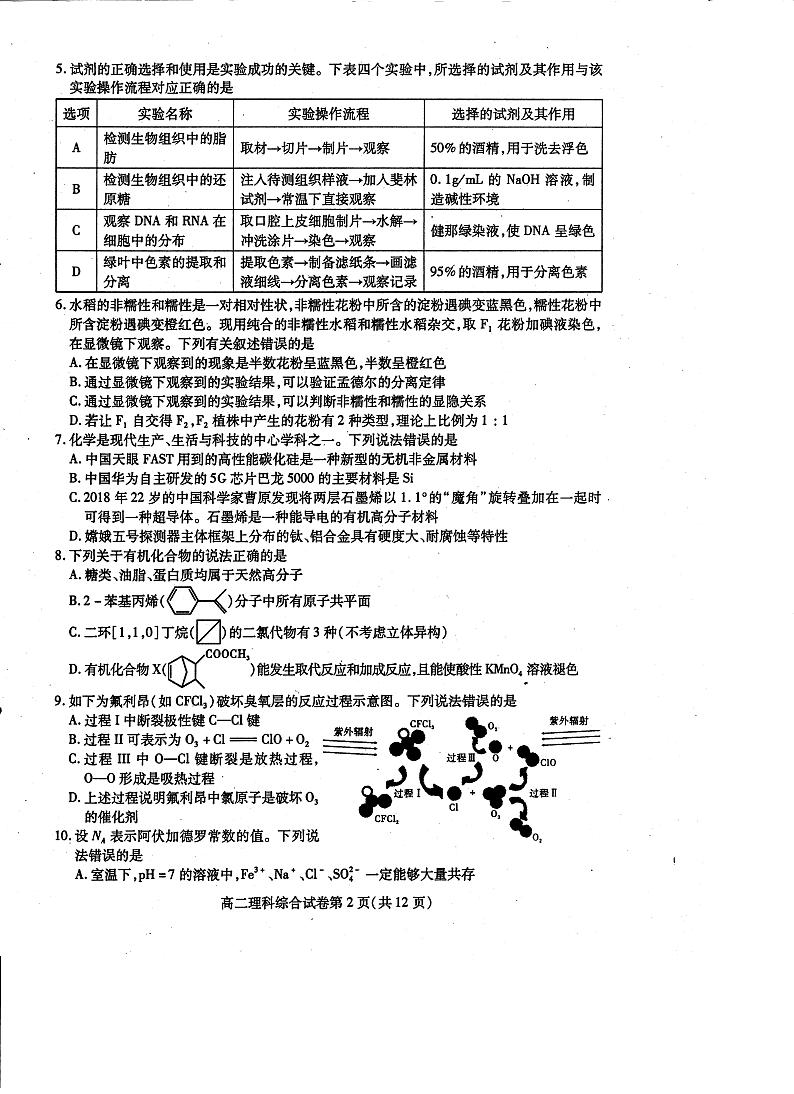 2022届四川省内江市高中高三零模理科综合试题（pdf版，暂无答案）第2页