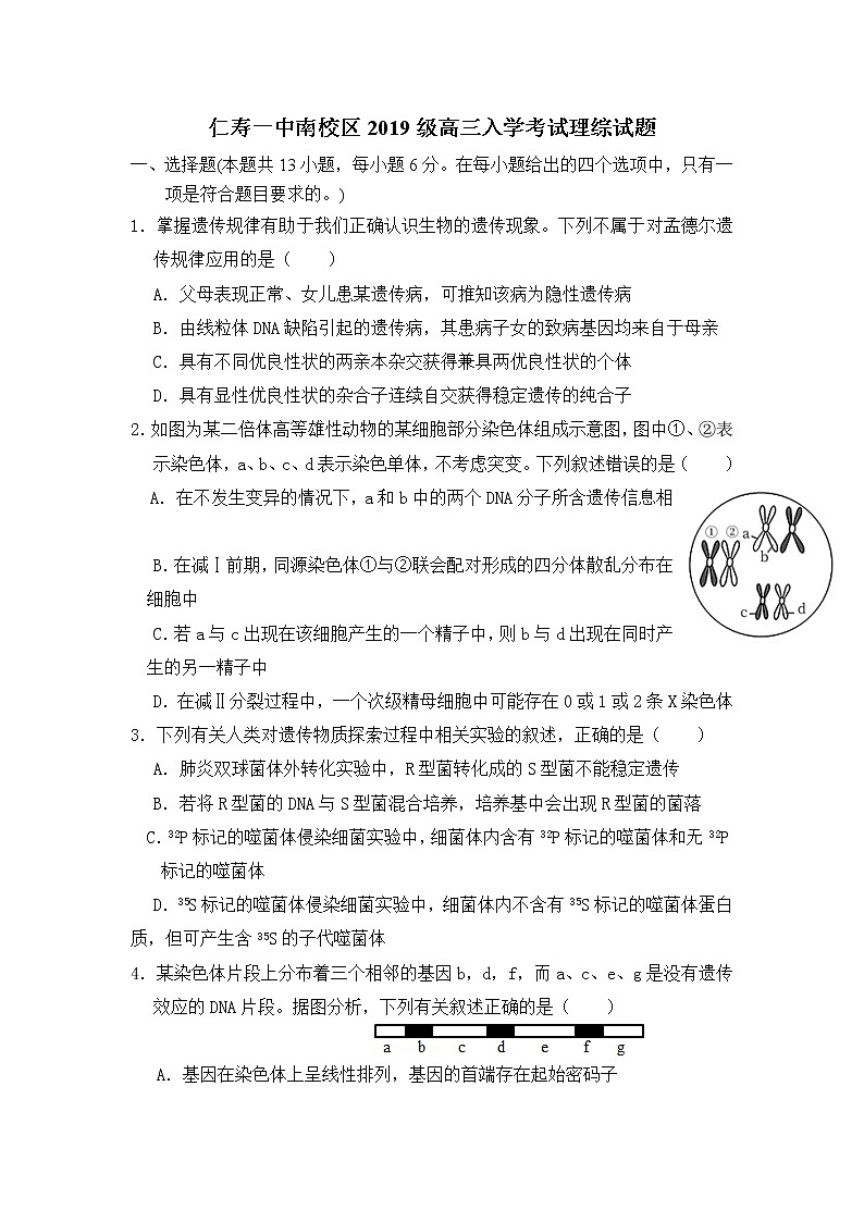 四川省眉山市仁寿第一中学校南校区2021-2022学年高三上学期入学考试理综试题（word有答案）第1页