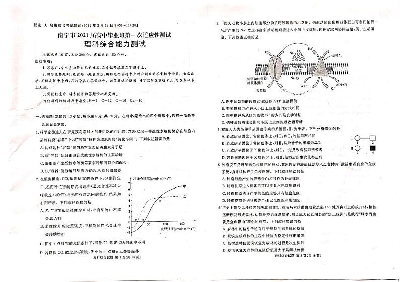 2021年广西省南宁高三一模理综试卷及答案01