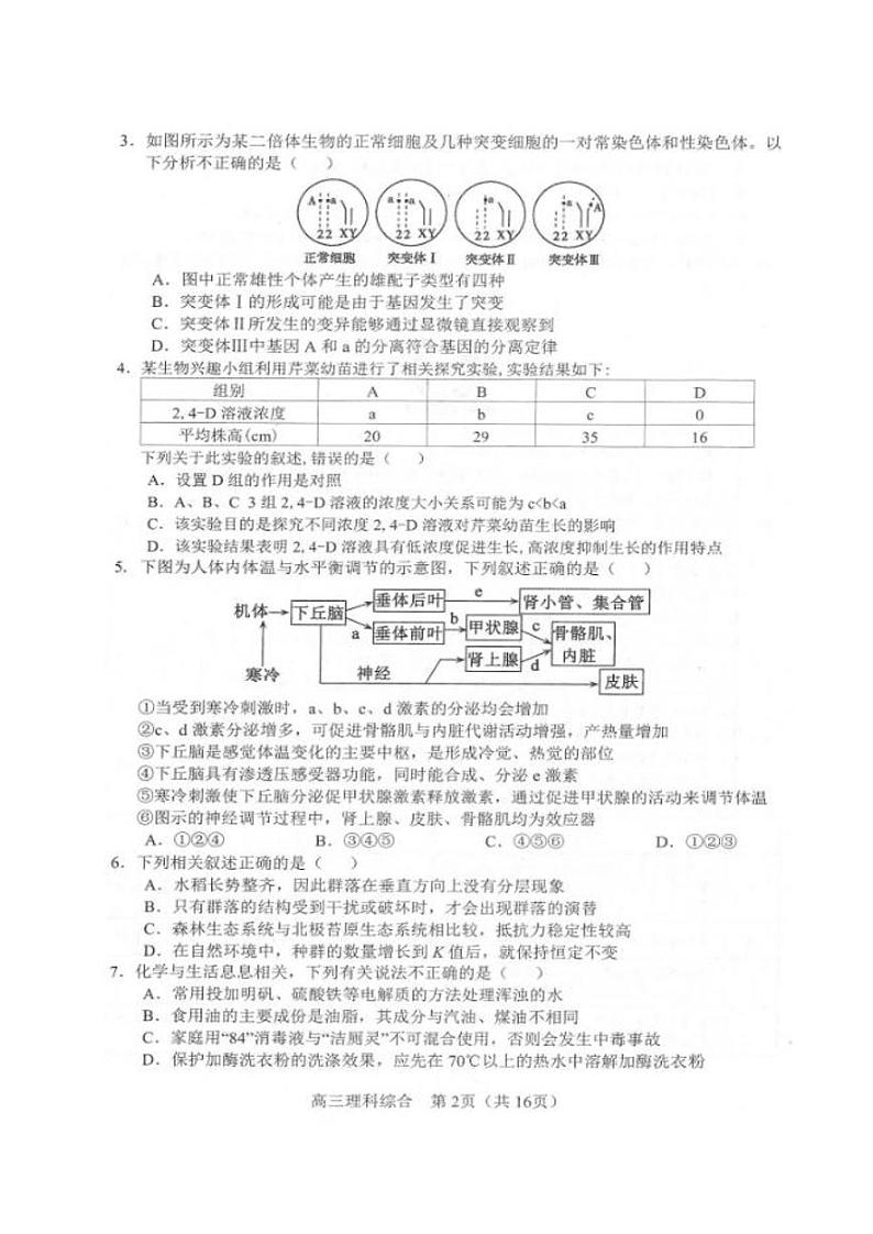 2020届辽宁省沈阳市郊联体高三上学期期末考试理科综合试题 PDF版第2页