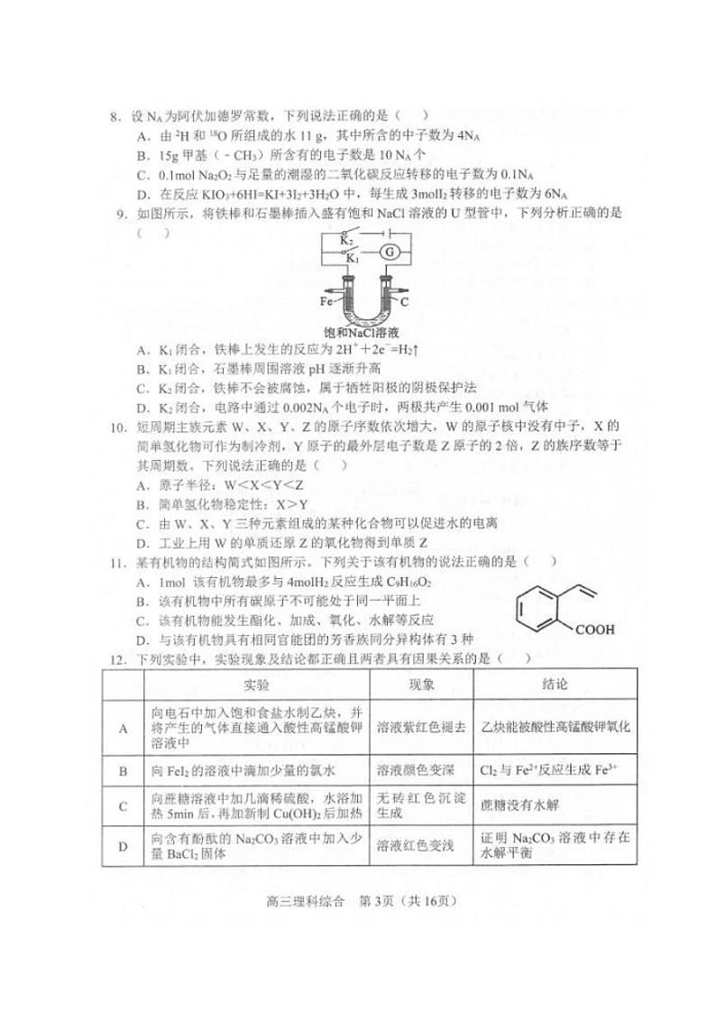 2020届辽宁省沈阳市郊联体高三上学期期末考试理科综合试题 PDF版第3页