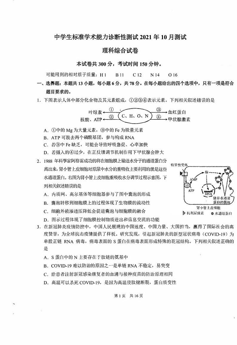 2022届中学生标准学术能力测试高三上学期10月测试 理科综合 PDF版01