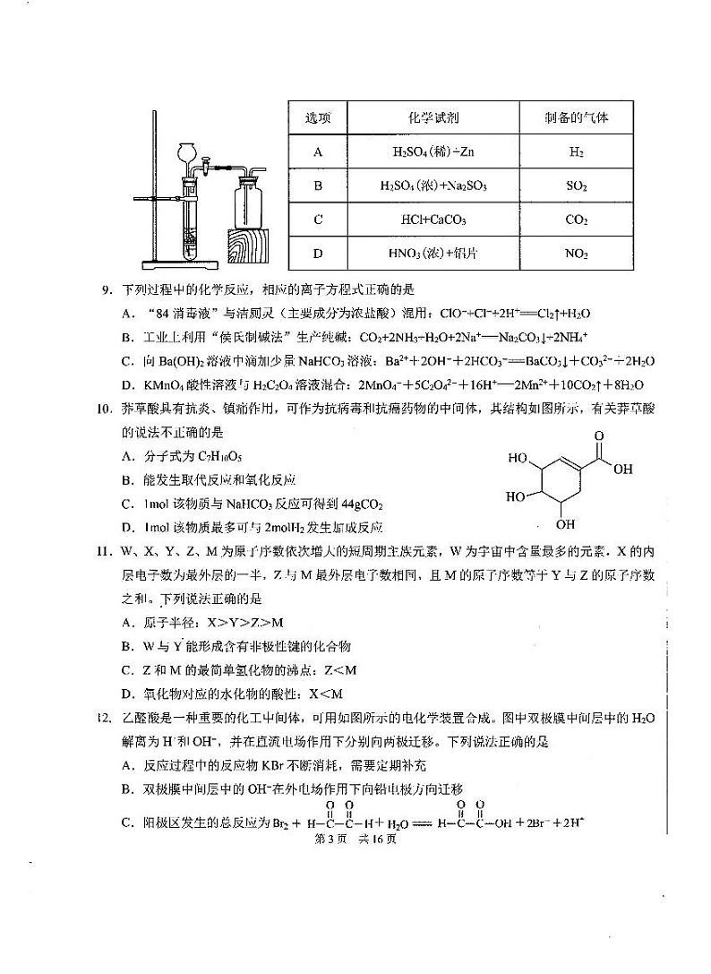 2022届中学生标准学术能力测试高三上学期10月测试 理科综合 PDF版03