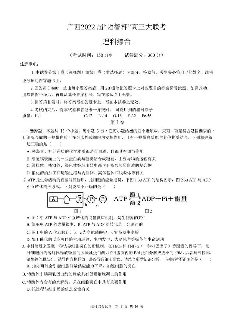 2022 届“韬智杯”高三大联考 理综第1页