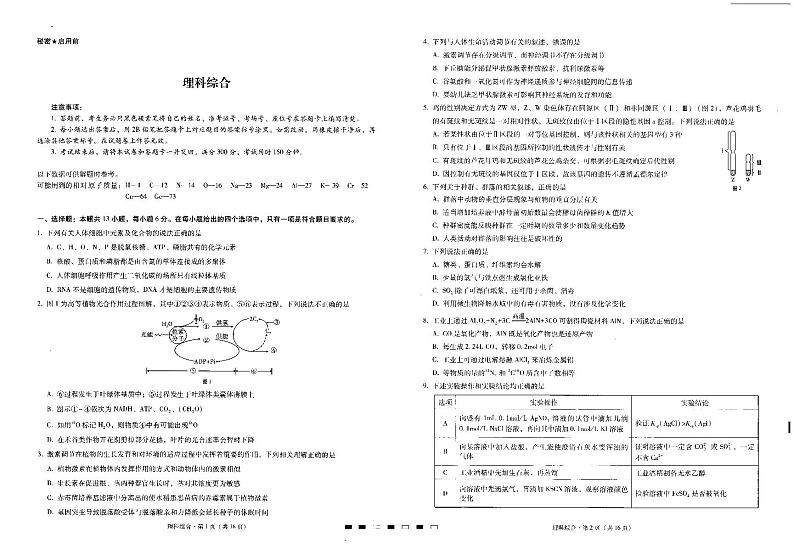 2022届云南省曲靖市第一中学高三上学期第一次质量监测卷理综试题（PDF版含答案）01