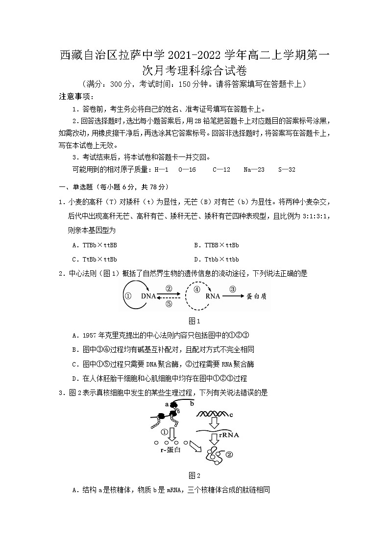 2021-2022学年西藏自治区拉萨中学高二上学期第一次月考理综试题 Word版01