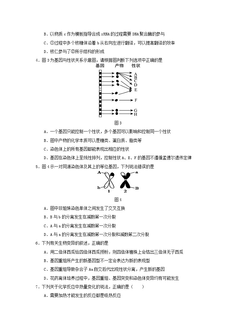 2021-2022学年西藏自治区拉萨中学高二上学期第一次月考理综试题 Word版02