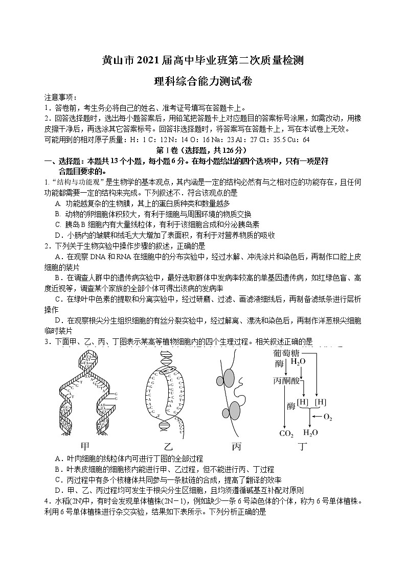 安徽省黄山市2021届高三4月第二次质量检测（二模）理综生物试题（word含答案）01