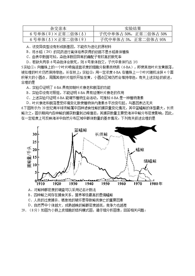 安徽省黄山市2021届高三4月第二次质量检测（二模）理综生物试题（word含答案）02