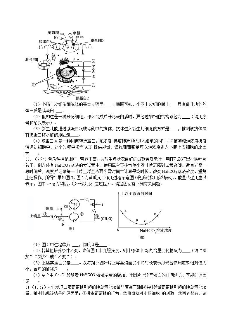 安徽省黄山市2021届高三4月第二次质量检测（二模）理综生物试题（word含答案）03