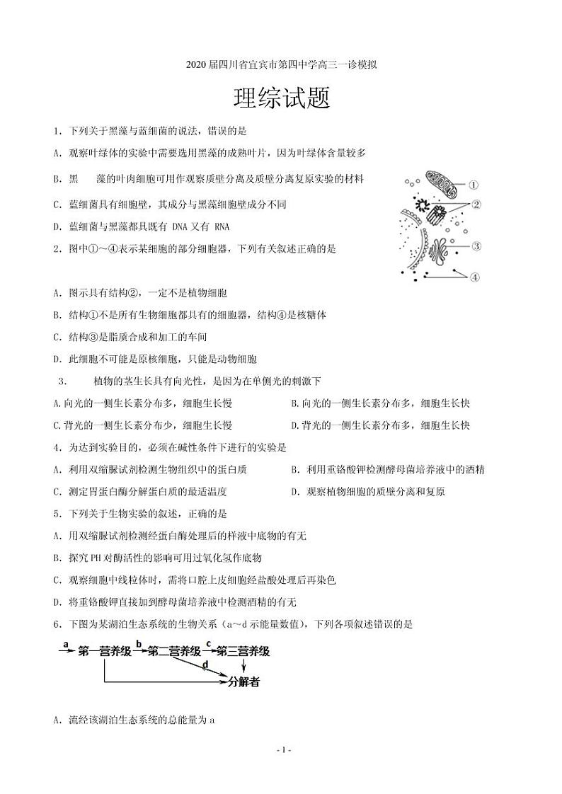 2020届四川省宜宾市第四中学高三一诊模拟理综试题（PDF版）01
