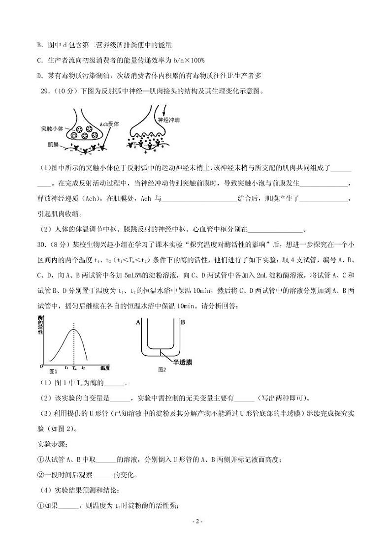 2020届四川省宜宾市第四中学高三一诊模拟理综试题（PDF版）02