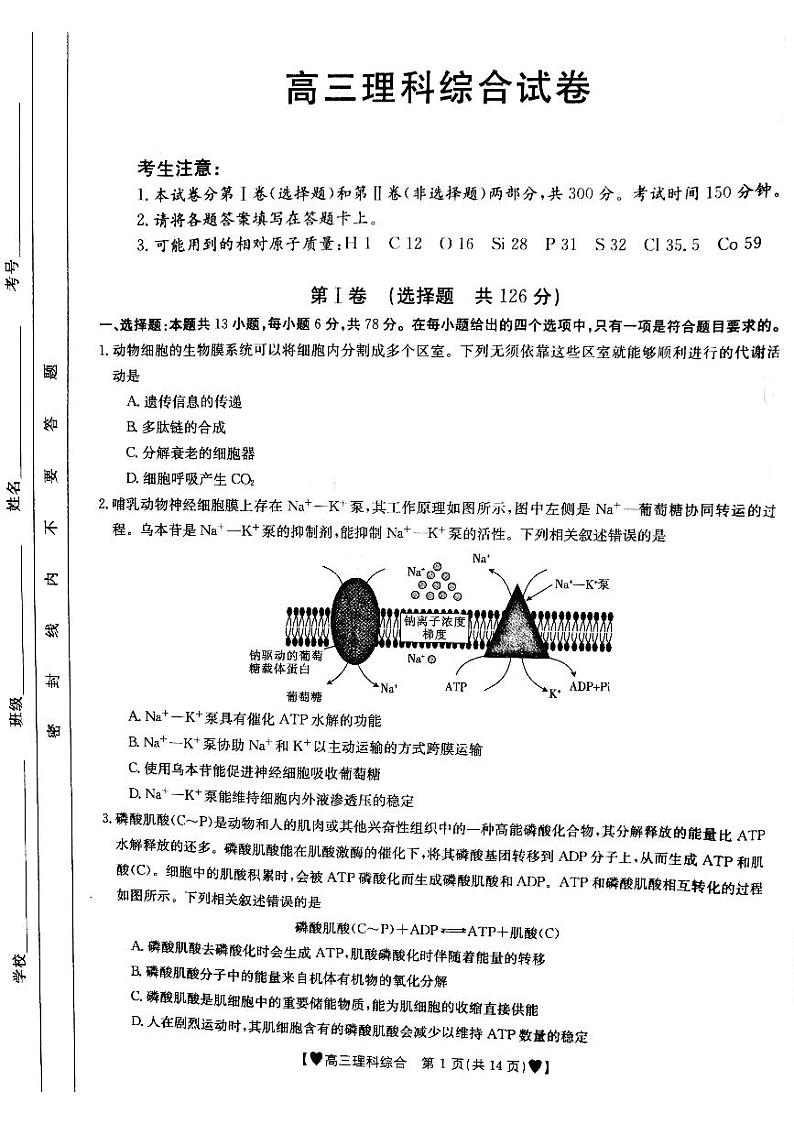 甘肃省靖远县2022届高三上学期期中考试理科综合试题扫描版含答案01