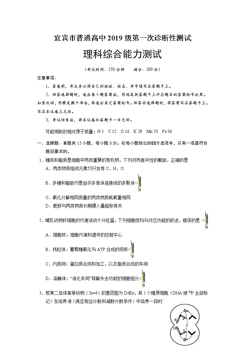 四川省宜宾市2021-2022学年高三第一次诊断检测理科综合【试卷+答案】01