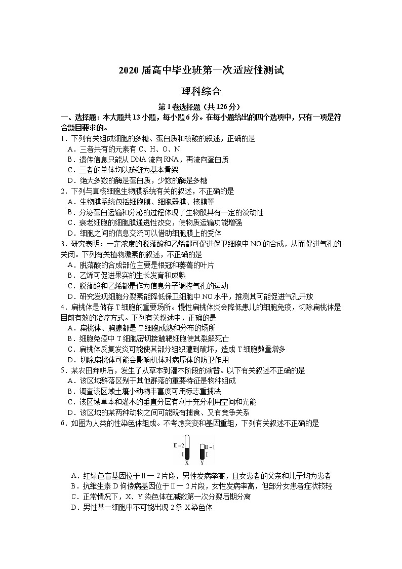 广西南宁市2020届高三毕业班第一次适应性测试理综试卷01