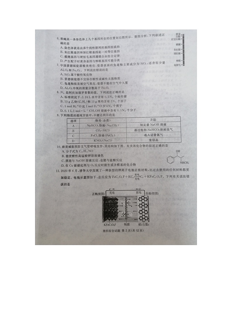 四川省广安市2021届高三第一次诊断性考试理综试卷（扫描版）第2页