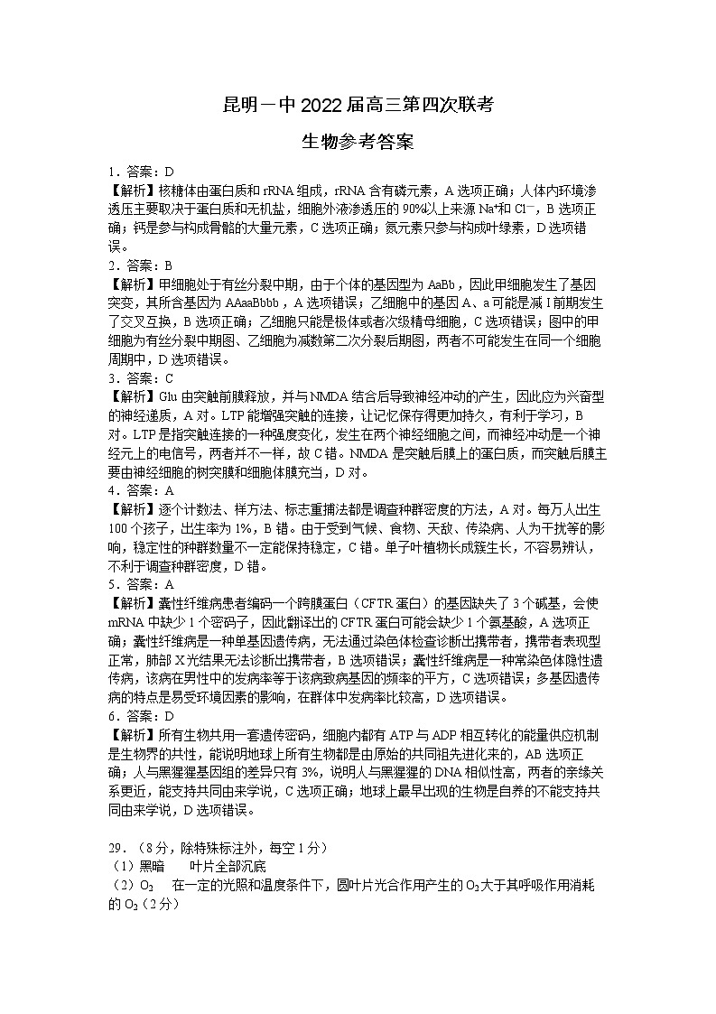 2022昆明一中高三月考（四）理科综合试卷01