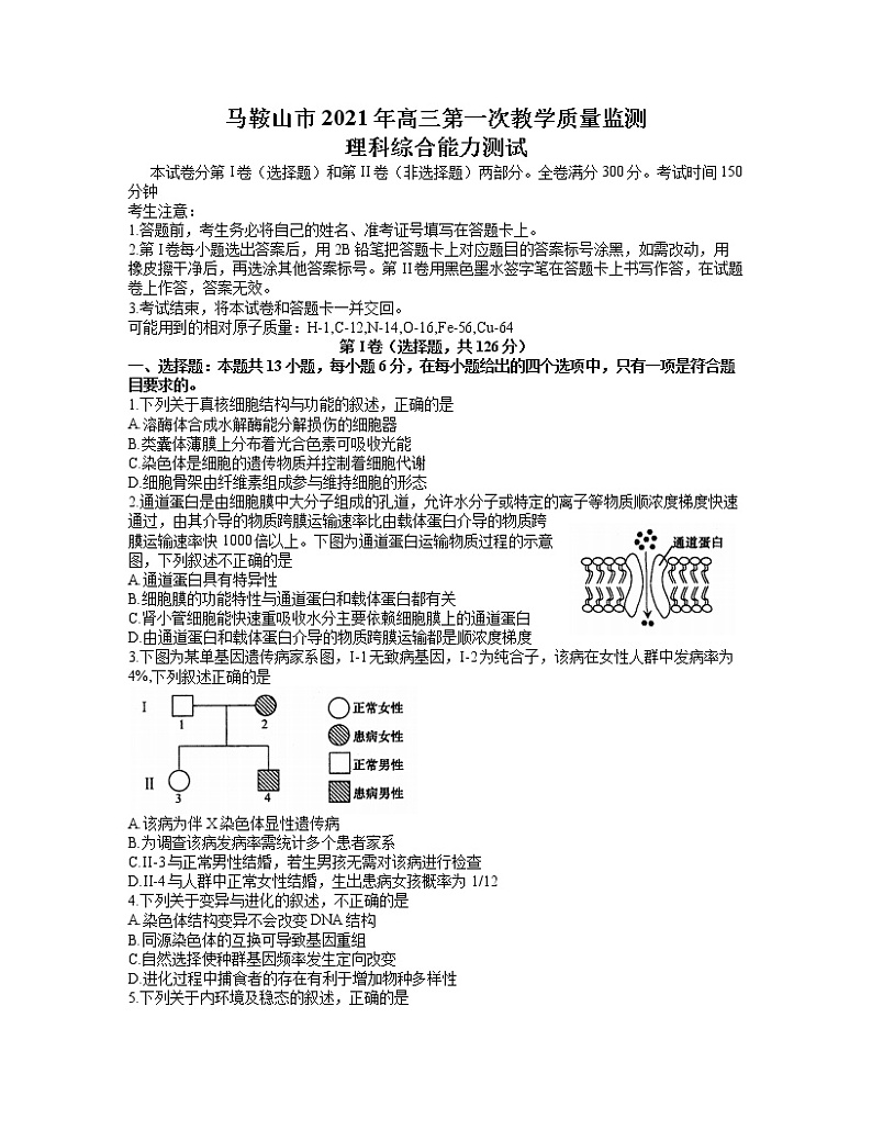 安徽省马鞍山市2021届高三5月第一次教学质量检测理科综合试题（word含答案）第1页