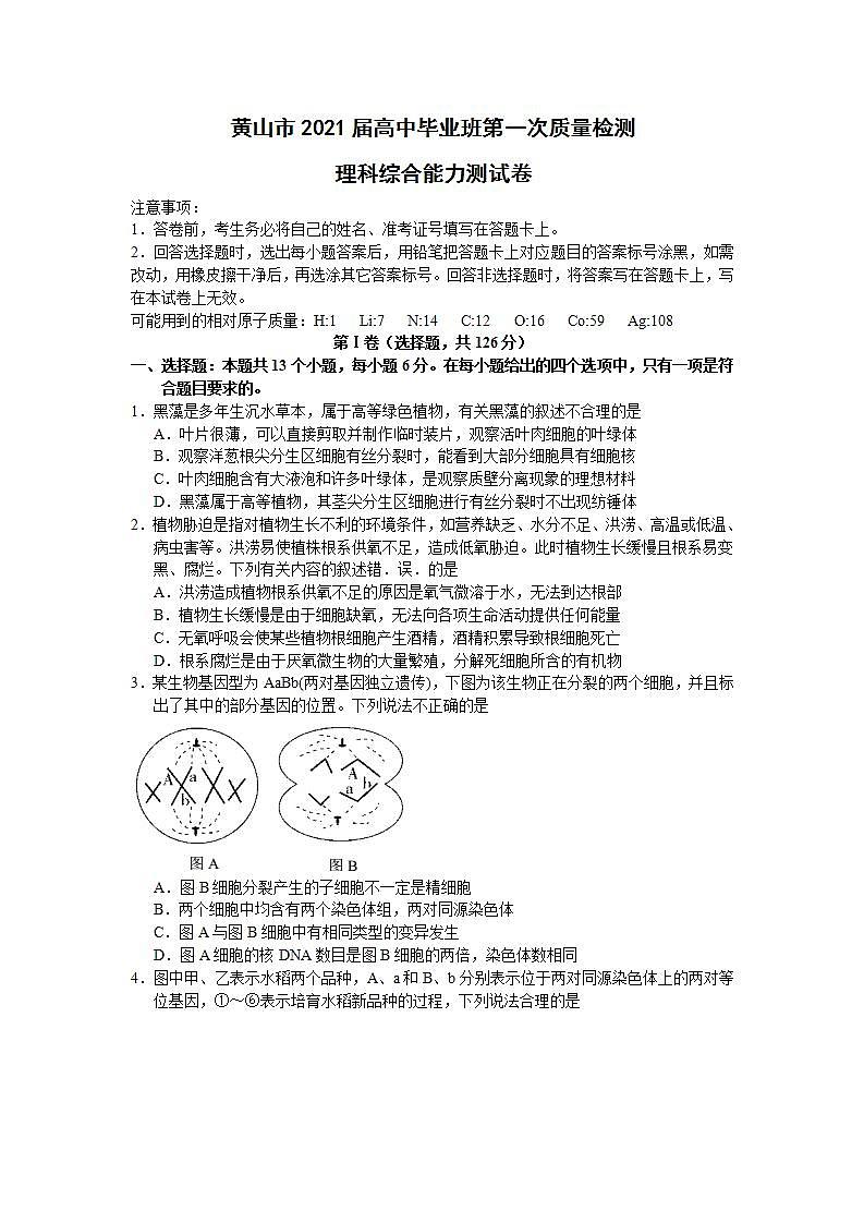 安徽省黄山市2021届高中毕业班第一次质量检测理综试题（word版，含答案）01