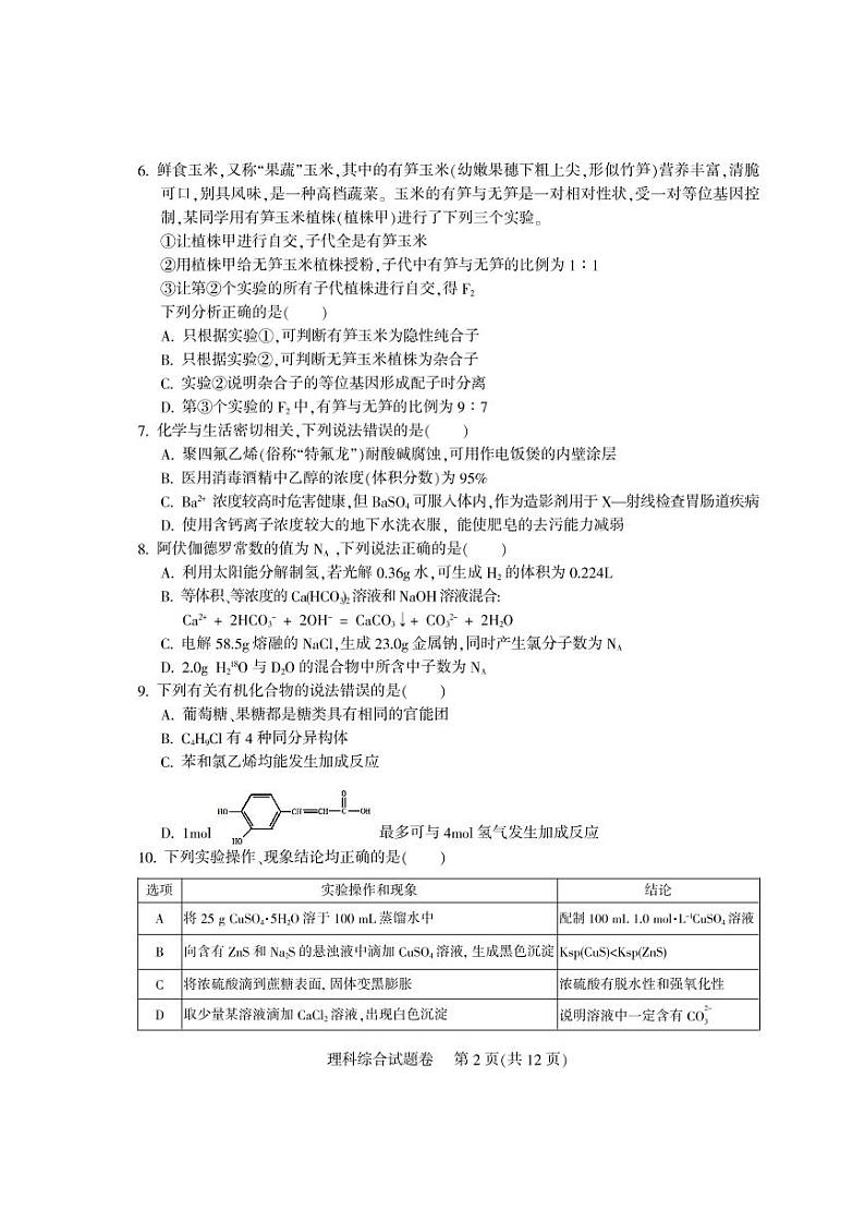 四川省凉山州2020届高三毕业班一模测试理综试卷02