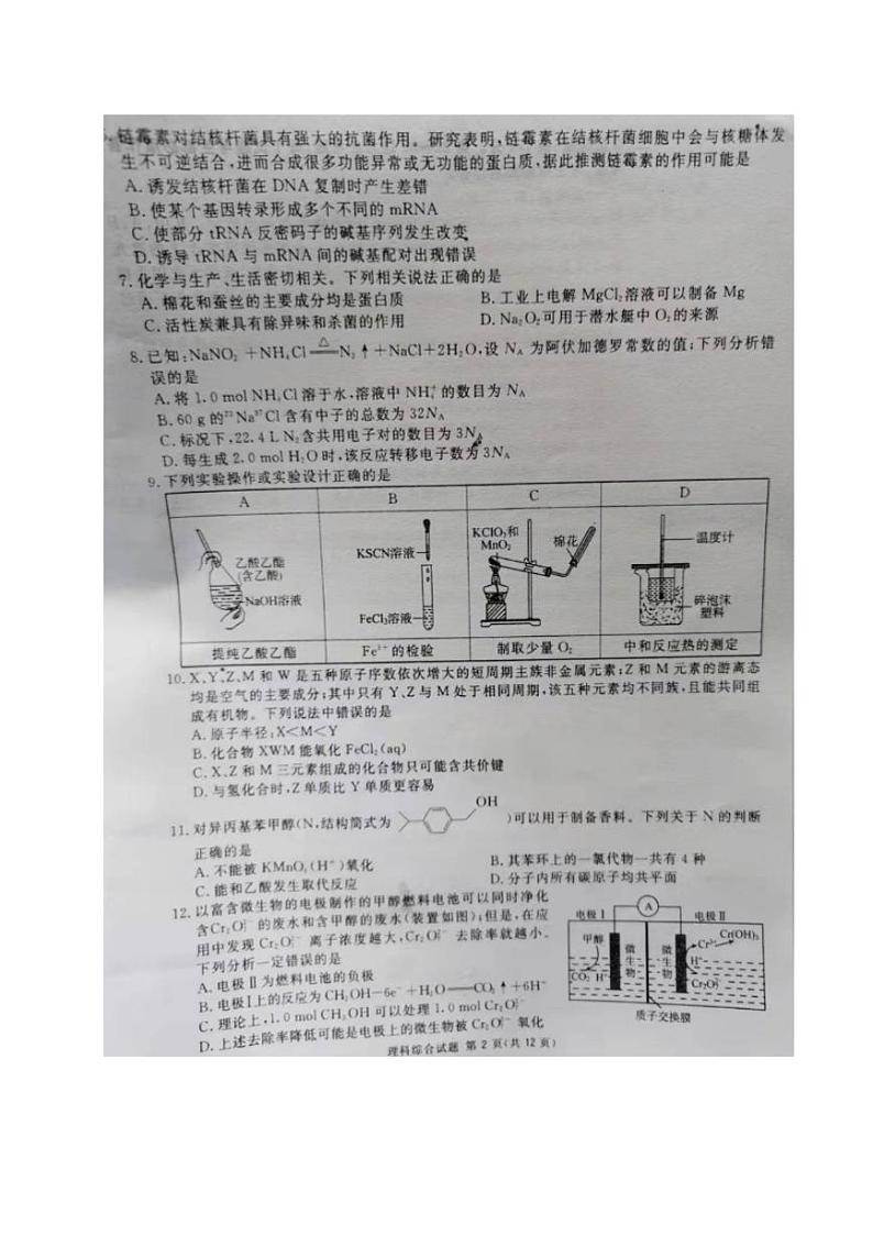 四川省广安市2021-2022学年高三上学期第一次诊断考试理科综合试题含答案第2页