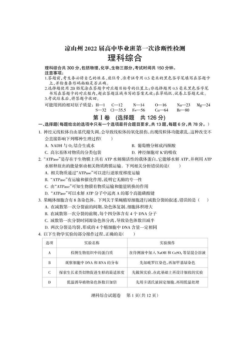 四川省凉山州2022届高三上学期第一次诊断性检测理科综合PDF版含答案（可编辑）01