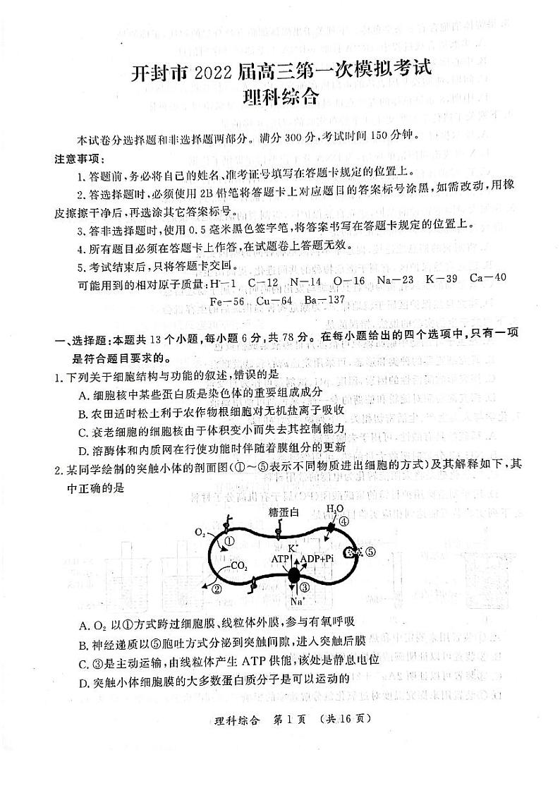 河南省开封市2021-2022学年高三第一次模拟考试理科综合试题含答案01