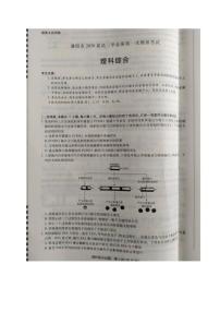 河南省濮阳市2020届高三毕业班第一次模拟考试理科综合试题含答案