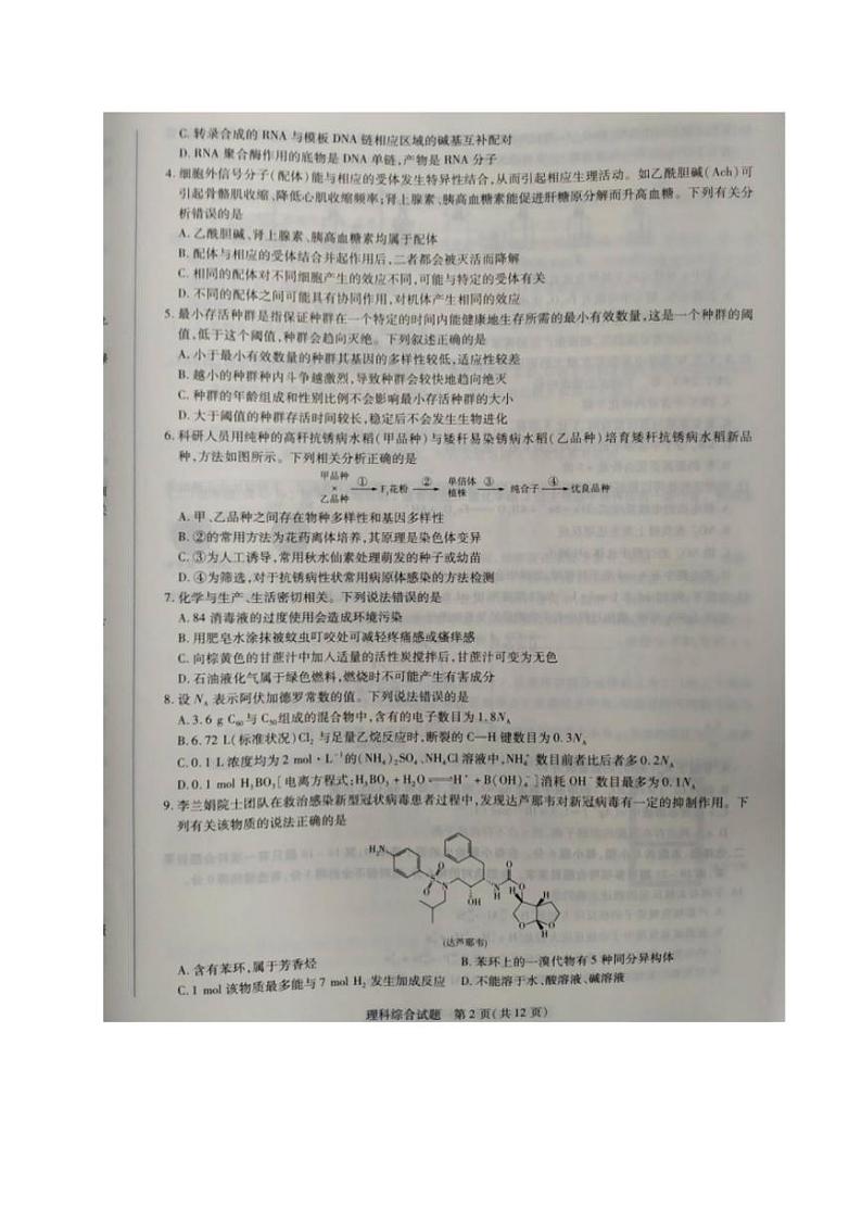 河南省濮阳市2020届高三毕业班第一次模拟考试理科综合试题含答案第2页